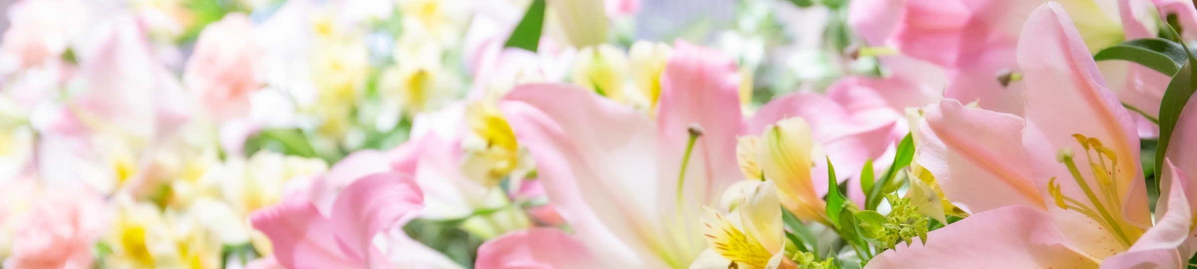 会社概要・アクセス